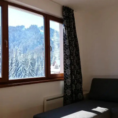 Апартаменты Tes Rila Park & Semiramida Apartments Студия фото 12