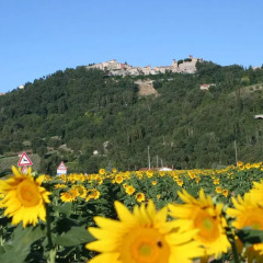 Отель Campo della Fiora Монтоне фото 12