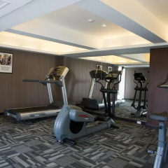 Апартаменты Lily Residence Executive Serviced Apartment фитнесс-зал фото 3