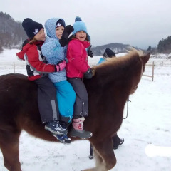 Отель Tourist Farm Lojtrnik спортивное сооружение