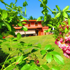 Отель Agriturusmo La Selva Аулла