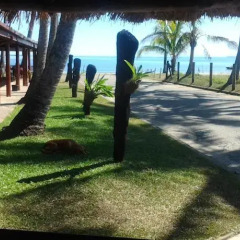 Отель Travellers Beach Resort фото 9