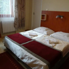 Отель Fortuna Hotel Венгрия, Силвашварад - отзывы, цены и фото номеров - забронировать отель Fortuna Hotel онлайн комната для гостей