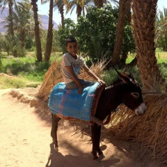 Отель Kasbah Oulad Othmane детские мероприятия