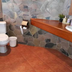 Отель Birds & Bees Resort 3* Полулюкс с различными типами кроватей