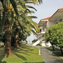Отель Miramare Hotel Греция, Ситония - отзывы, цены и фото номеров - забронировать отель Miramare Hotel онлайн фото 9