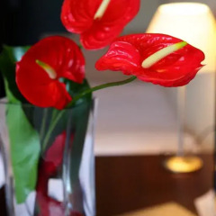 Отель Aparthotel Attica 21 Vallés 3* Люкс с различными типами кроватей фото 2