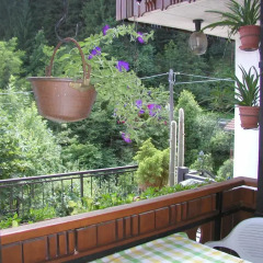 Отель Casa Vacanze Muina Форни-ди-Сопра балкон