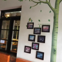 Отель Dalat 24h Guest House Далат гостиничный бар