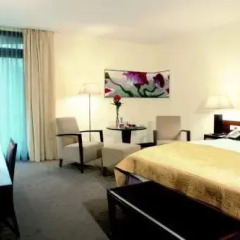 Отель Ramada Nuernberg Parkhotel 4* Стандартный номер с различными типами кроватей фото 3