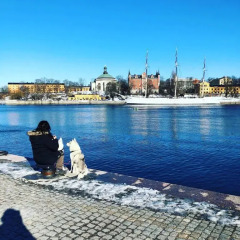 Dockside Hostel Old Town пляж