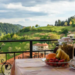 Отель Holiday home Kalina Болгария, Чепеларе - отзывы, цены и фото номеров - забронировать отель Holiday home Kalina онлайн балкон