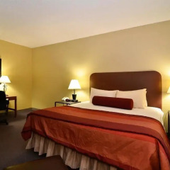 Отель Best Western Plus Inn Of Williams 2* Стандартный номер с различными типами кроватей фото 2