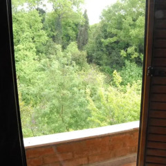 Hotel Livia 3* Стандартный номер фото 3