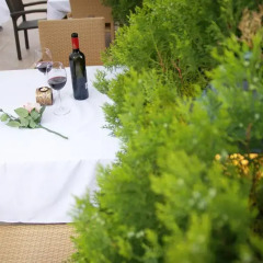 Отель Guest House Sany