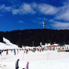 Hotel Ela (Paisii Hilendarski) спортивное сооружение