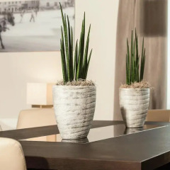 Отель Wyndham Grand Conference Center 4* Номер Бизнес