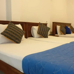 Golden Park Hotel Номер Делюкс с различными типами кроватей фото 10