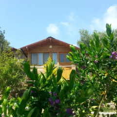 Отель Olive Garden Kabak Патара фото 4