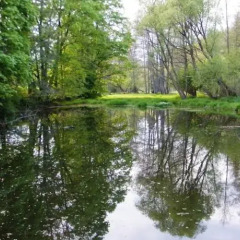 Отель Rainmühle