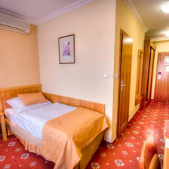 Wellness Hotel Step 4* Стандартный номер с разными типами кроватей фото 9