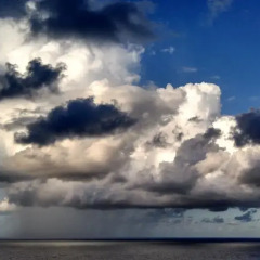 Отель Caribbean Dawn Ямайка, Порт Антонио - отзывы, цены и фото номеров - забронировать отель Caribbean Dawn онлайн пляж фото 2