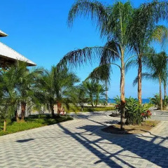 Uw Oasis Hotel Луизиана Ceiba