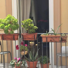 Отель Casa Vacanze da Cristina Palazzo Atanasio Италия, Палермо - отзывы, цены и фото номеров - забронировать отель Casa Vacanze da Cristina Palazzo Atanasio онлайн балкон