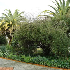 Отель Casa De Fontes