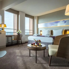 Radisson Blu Hotel Lyon комната для гостей фото 4