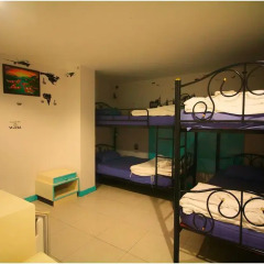 Отель Noble House 3* Кровать в общем номере двухъярусные кровати