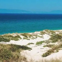 Отель Comporta House пляж