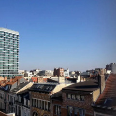 Отель Brussels Louise Penthouse балкон