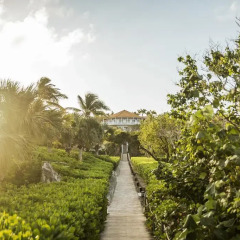 Отель COMO Parrot Cay фото 6