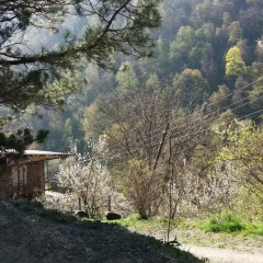 Отель Arami House Армения, Дилижан - отзывы, цены и фото номеров - забронировать отель Arami House онлайн фото 8