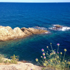 Отель Costa Brava Испания, Бланес - отзывы, цены и фото номеров - забронировать отель Costa Brava онлайн пляж фото 2