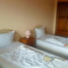 Park Hotel Rodopi 2* Стандартный номер с 2 отдельными кроватями фото 3