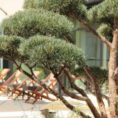 Отель Ramada Nuernberg Parkhotel фото 3
