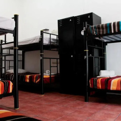 Hostel Hospedarte Centro Кровать в женском общем номере с двухъярусной кроватью фото 6