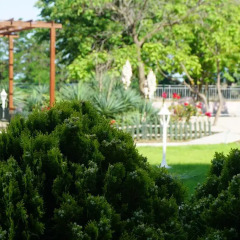 Отель Cook's Club Sunny Beach спортивное сооружение