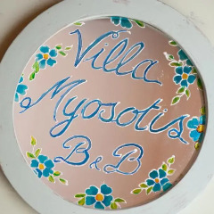 Отель Villa Myosotis Италия, Мирано - отзывы, цены и фото номеров - забронировать отель Villa Myosotis онлайн развлечения