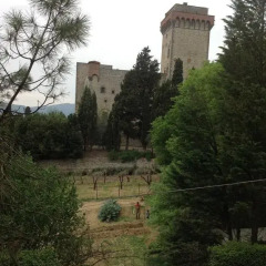 Отель Colonica Torre Del Castellano Реггелло фото 10