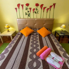 Hotel Sad 3* Номер категории Эконом фото 11
