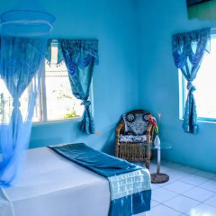 Отель Ackee Tree Sea View Villa питание