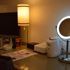 Asakusa Central Hotel 3* Стандартный номер с двуспальной кроватью фото 10