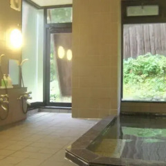 Hotel Schon Wald Хакуба спа