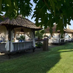 Отель Gloria Serenity Resort - All Inclusive фото 14