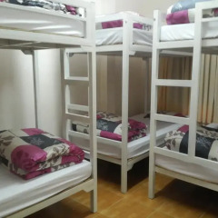 Tiny Tigers Hostel Кровать в общем номере с двухъярусной кроватью фото 2