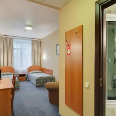 Гостиница Самсон 4* Стандартный номер с различными типами кроватей фото 4