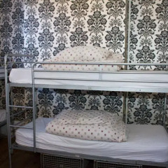 The Grapevine Seafront - Hostel детские мероприятия фото 3